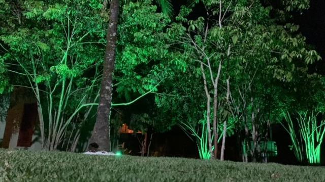 Bons Ventos Camping E Glamping Barra Grande (Bahia) Exterior foto